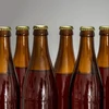 Butelka na piwo 0,5 L - zgrzewka 8 szt. - 5 ['butelki do piwa', ' butelki piwne', ' do napojów gazowanych', ' zgrzewka butelek', ' do cydru', ' na cydr', ' szklane butelki', ' butelki piwowarskie', ' butelka 500 ml']