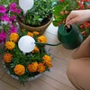Kula nawadniająca do roślin, biała matowa z ceramiczną nóżką, 400ml - 8 ['kule nawadniające', ' dozownik do nawadniania kwiatów', ' do podlewania kwiatów', ' nawilżacze do kwiatów', ' nawadnianie kwiatów', ' nawadnianie roślin', ' nawadniacze do doniczek', ' do kwiatów doniczkowych', ' system nawadniania', ' kula nawadniająca', ' dozownik wody do doniczek', ' kule do roślin', ' dozownik do roślin', ' podlewanie roślin', ' kule nawadniające białe', ' kule nawadniające z ceramiczną nóżką', ' ceramiczna nóżka', ' kule nawadniające kolorowe', ' kule nawadniające z glinianą nóżką', ' kule nawadniające napełniane od góry', ' dozowniki napełniane od góry', '']