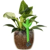 Nawadniacz do roślin – listek zielony, 120 ml - 5 ['nawadniacz do roślin', ' nawadniacz', ' nawadniacz w kształcie listka', ' oryginalny nawadniacz', ' ochrona roślin', ' pielęgnowanie roślin', ' nawadniacz do kwiatów', ' listek nawadniający', ' kule nawadniające', ' kula nawadniająca', ' designerski nawadniacz', ' jak dbać o rośliny', ' ładne dodatki do domu', ' dizajnerskie nawadniacze', ' wyjątkowe kule do nawadniania', ' uniwersalny nawadniacz', ' zielony nawadniacz', ' nawadniacz do małych roślin i kwiatów doniczkowych']