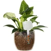 Nawadniacz do roślin - tabliczka biała z ceramiczną nóżką, 200 ml - 6 ['nawadniacz do roślin', ' nawadniacz', ' nawadniacz w kształcie tabliczki', ' oryginalny nawadniacz', ' ochrona roślin', ' pielęgnowanie roślin', ' nawadniacz do kwiatów', ' tabliczka nawadniająca', ' kule nawadniające', ' kula nawadniająca', ' designerski nawadniacz', ' jak dbać o rośliny', ' ładne dodatki do domu', ' dizajnerskie nawadniacze', ' wyjątkowe kule do nawadniania', ' uniwersalny nawadniacz', ' ceramiczna nóżka', ' nawadniacz ceramiczny', ' nawadniacz z ceramiczną nóżką']
