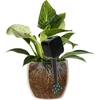 Nawadniacz do roślin – tabliczka czarna, 200 ml - 6 ['nawadniacz do roślin', ' nawadniacz', ' nawadniacz w kształcie tabliczki', ' oryginalny nawadniacz', ' ochrona roślin', ' pielęgnowanie roślin', ' nawadniacz do kwiatów', ' tabliczka nawadniająca', ' kule nawadniające', ' kula nawadniająca', ' designerski nawadniacz', ' jak dbać o rośliny', ' ładne dodatki do domu', ' dizajnerskie nawadniacze', ' wyjątkowe kule do nawadniania', ' uniwersalny nawadniacz']