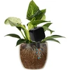 Nawadniacz do roślin – tabliczka czarna z ceramiczną nóżką, 200 ml - 6 ['nawadniacz do roślin', ' nawadniacz', ' nawadniacz w kształcie tabliczki', ' oryginalny nawadniacz', ' ochrona roślin', ' pielęgnowanie roślin', ' nawadniacz do kwiatów', ' tabliczka nawadniająca', ' kule nawadniające', ' kula nawadniająca', ' designerski nawadniacz', ' jak dbać o rośliny', ' ładne dodatki do domu', ' dizajnerskie nawadniacze', ' wyjątkowe kule do nawadniania', ' uniwersalny nawadniacz', ' ceramiczna nóżka', ' nawadniacz ceramiczny', ' nawadniacz z ceramiczną nóżką']
