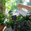 Nawadniacz do roślin – tabliczka czarna z ceramiczną nóżką, 200 ml - 7 ['nawadniacz do roślin', ' nawadniacz', ' nawadniacz w kształcie tabliczki', ' oryginalny nawadniacz', ' ochrona roślin', ' pielęgnowanie roślin', ' nawadniacz do kwiatów', ' tabliczka nawadniająca', ' kule nawadniające', ' kula nawadniająca', ' designerski nawadniacz', ' jak dbać o rośliny', ' ładne dodatki do domu', ' dizajnerskie nawadniacze', ' wyjątkowe kule do nawadniania', ' uniwersalny nawadniacz', ' ceramiczna nóżka', ' nawadniacz ceramiczny', ' nawadniacz z ceramiczną nóżką']