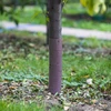 Osłonka do drzewek - spirala - fi 3,5 x 60 cm - 2 