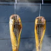 Zrębki wędzarnicze do ryb 650 g, średnie, KL8 - 8 ['Wędzony karp dorsz', ' pstrąg łosoś', ' wędzenie na zimno', ' łosoś wędzony na zimno', ' do wędzenia', ' do grillowania', ' do wędzarni', ' jakie zrębki']