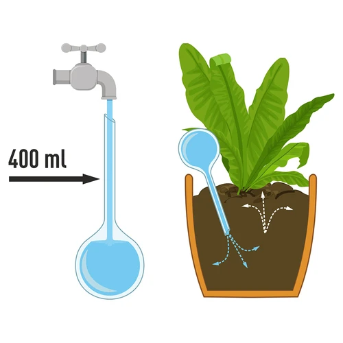 Kule nawadniające do roślin, czarne przezroczyste, 400 ml, 2 szt. - 4 ['kule nawadniające', ' dozownik do nawadniania kwiatów', ' do podlewania kwiatów', ' nawilżacze do kwiatów', ' nawadnianie kwiatów', ' nawadnianie roślin', ' nawadniacze do doniczek', ' do podlewania kwiatów', ' do kwiatów doniczkowych', ' system nawadniania', ' kula nawadniająca', ' dozownik wody do doniczek', ' kule do roślin', ' dozownik do roślin', ' podlewanie roślin', ' kula nawadniająca', ' kule nawadniające czarne', ' loftowy design', ' kule nawadniające transparentne']