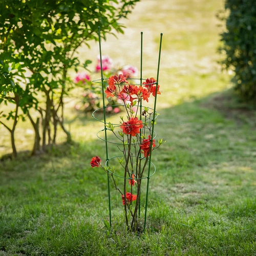 Podpora pierścieniowa do roślin 3 pierścienie 1,5m - 4 ['podpora do roślin', ' podpora pierścieniowa do krzewów', ' podpora ogrodowa', ' podpora na róże', ' pergola ogrodowa', ' obejma do roślin', ' podpórka do roślin', ' podpora kwiatowa', ' podpora do roślin doniczkowych', ' podpora do hortensji', ' podpora do borówek', ' podpora do roślin pnących', ' podpora zielona', ' podpora do roślin ciemnozielona', ' podpora do roślin stalowa z pierścieniami']