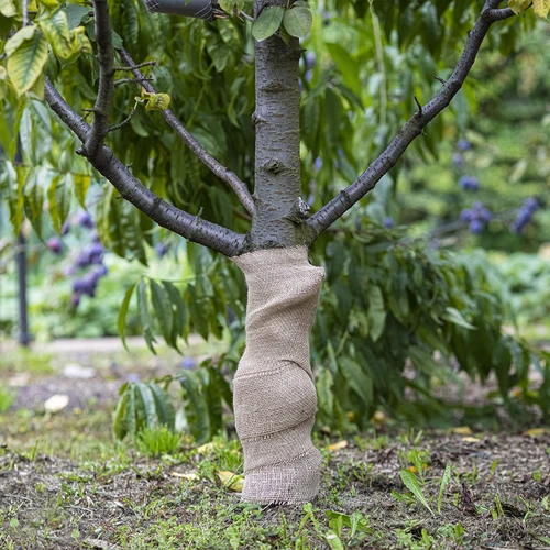 Taśma jutowa 10 cm/5 m - 5 ['taśma z juty', ' taśma jutowa', ' taśma do pomidorów', ' taśma do ogórków', ' taśma naturalna', ' ekotaśma', ' taśma do wiązania', ' taśma do rękodzieła', ' wstążka jutowa']