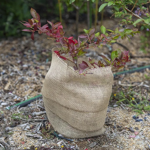 Taśma jutowa 10 cm/5 m - 6 ['taśma z juty', ' taśma jutowa', ' taśma do pomidorów', ' taśma do ogórków', ' taśma naturalna', ' ekotaśma', ' taśma do wiązania', ' taśma do rękodzieła', ' wstążka jutowa']