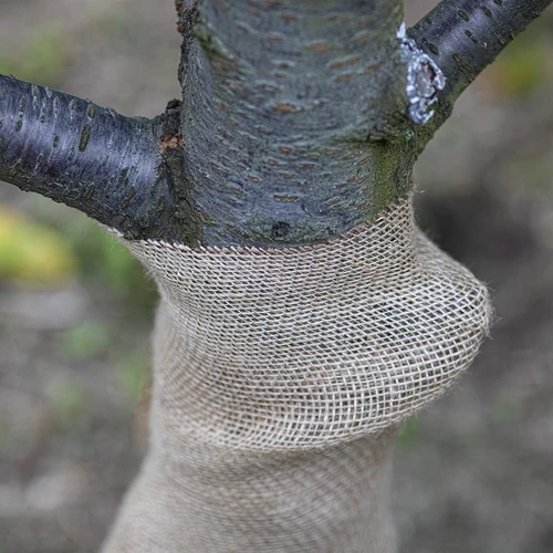 Taśma jutowa 10 cm/5 m - 7 ['taśma z juty', ' taśma jutowa', ' taśma do pomidorów', ' taśma do ogórków', ' taśma naturalna', ' ekotaśma', ' taśma do wiązania', ' taśma do rękodzieła', ' wstążka jutowa']