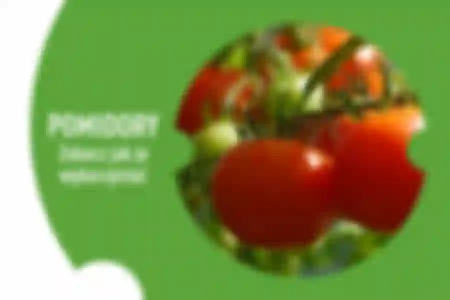 Browin Blog - Przetwory z pomidorów